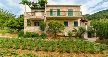 8 room house in Bol, Croatia