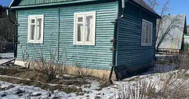 House in Chaciuchouski sielski Saviet, Belarus