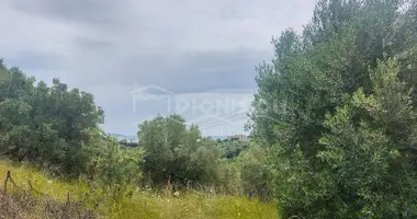 Działka w Nikiti, Grecja