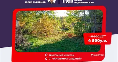 Grundstück in Dziescanski sielski Saviet, Weißrussland