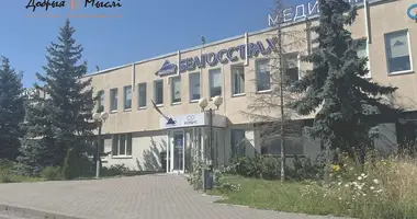 Commercial property 294 m² in Minsk, Belarus