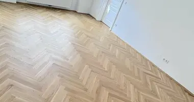 2 room apartment in Vienna, Austria