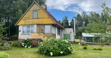 House in Bezdoniai Eldership, Lithuania