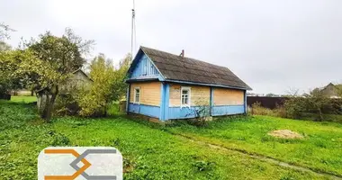 House in Sluck, Belarus