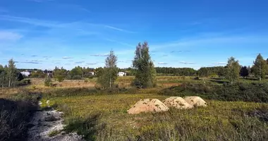 Grundstück in Pakalniskes, Litauen