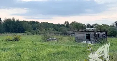 Участок земли в Великоритский сельский Совет, Беларусь