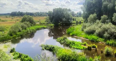 Terrain dans Mahilna, Biélorussie