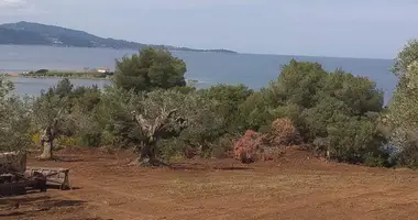 Terrain dans Paliouri, Grèce