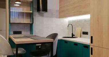 2 room apartment in Minsk, Belarus