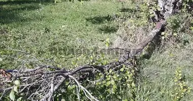 Участок земли в Тисашюй, Венгрия