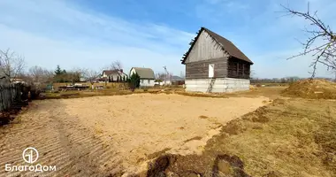 Działka w Dziamidavicki siel ski Saviet, Białoruś