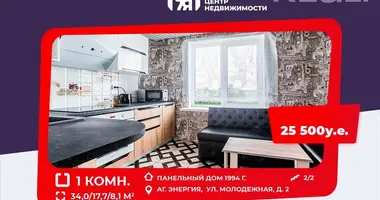 Wohnung 1 Zimmer in Enierhija, Weißrussland
