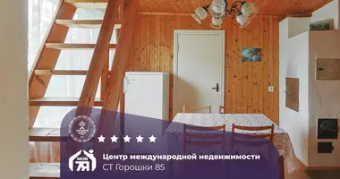 Casa en Lasanski sielski Saviet, Belarús