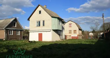 House in Kalodziscanski sielski Saviet, Belarus