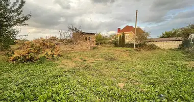 Maison dans Balshavik, Biélorussie