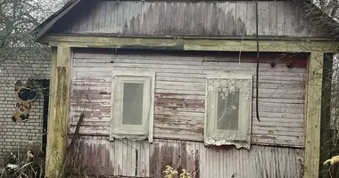 House in Mahilyow, Belarus