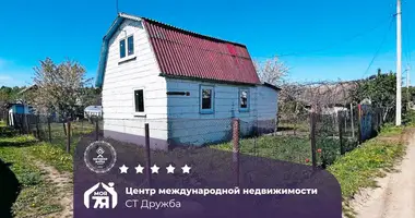 Дом в Старобинский сельский Совет, Беларусь