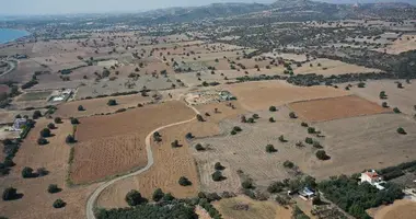 Terrain dans Agios Theodoros Skarinou, Chypre