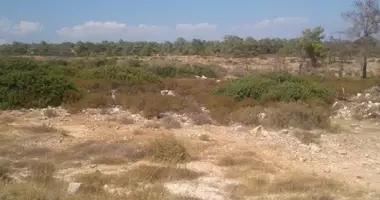 Działka w Souni-Zanatzia, Cyprus