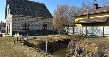 Дом в Демидовичский сельский Совет, Беларусь