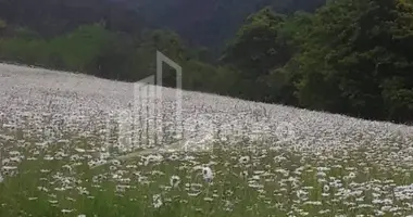 Grundstück in Georgien