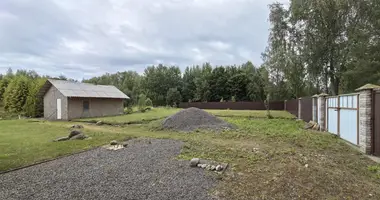 House in Traskouscyna, Belarus