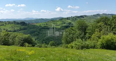 Plot of land in Georgia