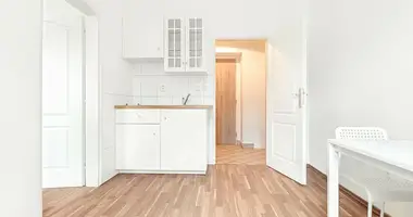 Wohnung 3 zimmer in Bezirk Hauptstadt Prag, Tschechien