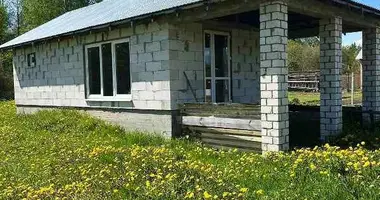 Dom w Niemanicki sielski Saviet, Białoruś