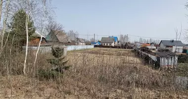 Grundstück in Luhavaslabadski sielski Saviet, Weißrussland