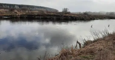 Dom w Holacki siel ski Saviet, Białoruś