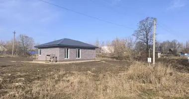 House in Hastsilavichy, Belarus