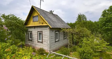 Дом в Петришковский сельский Совет, Беларусь