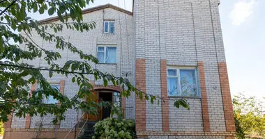 House in Zazerka, Belarus