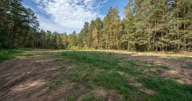 Plot of land in Draseikiai, Lithuania