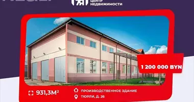 Производство 931 м² в Тюрли, Беларусь