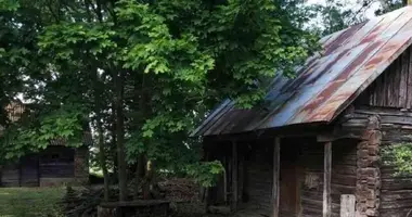 House in Paistrieciai, Lithuania