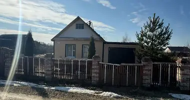 House in Babinicki sielski Saviet, Belarus