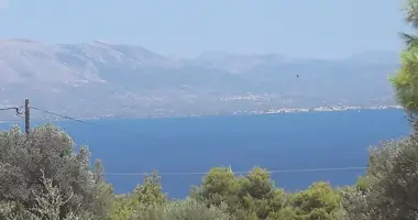 Terrain dans Markópoulo Oropoú, Grèce