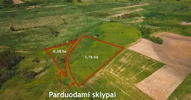 Plot of land in Medziukai, Lithuania