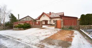 House in Zhdanovichy, Belarus