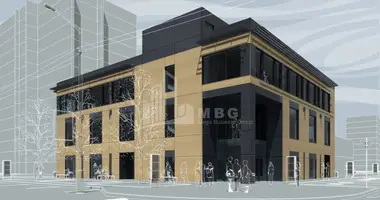 Commercial property 1 500 m² in Tbilisi, Georgia