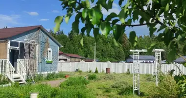 Dom 2 pokoi w Koltushskoe selskoe poselenie, Rosja