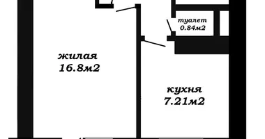 1 room apartment in Minsk, Belarus