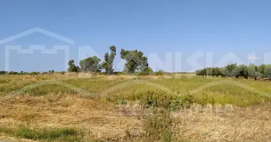 Plot of land in Elassona Municipality, Greece