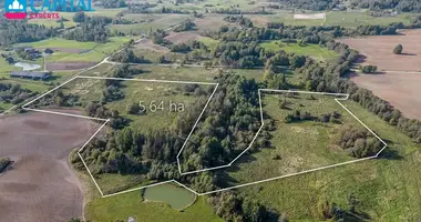 Plot of land in Naideliai, Lithuania