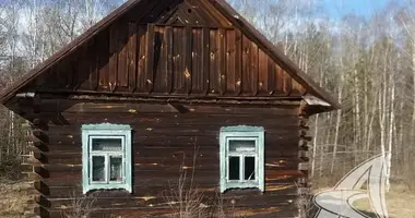 House in Dzivinski sielski Saviet, Belarus