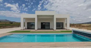 Villa 3 chambres avec Jardin, avec lichnyy basseyn private pool, avec Près de l'école dans Monover Monovar, Espagne