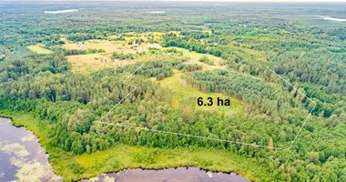 Plot of land in Abejuciai, Lithuania