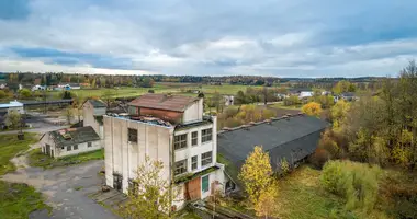 Propriété commerciale 1 977 m² dans Pyktiske, Lituanie